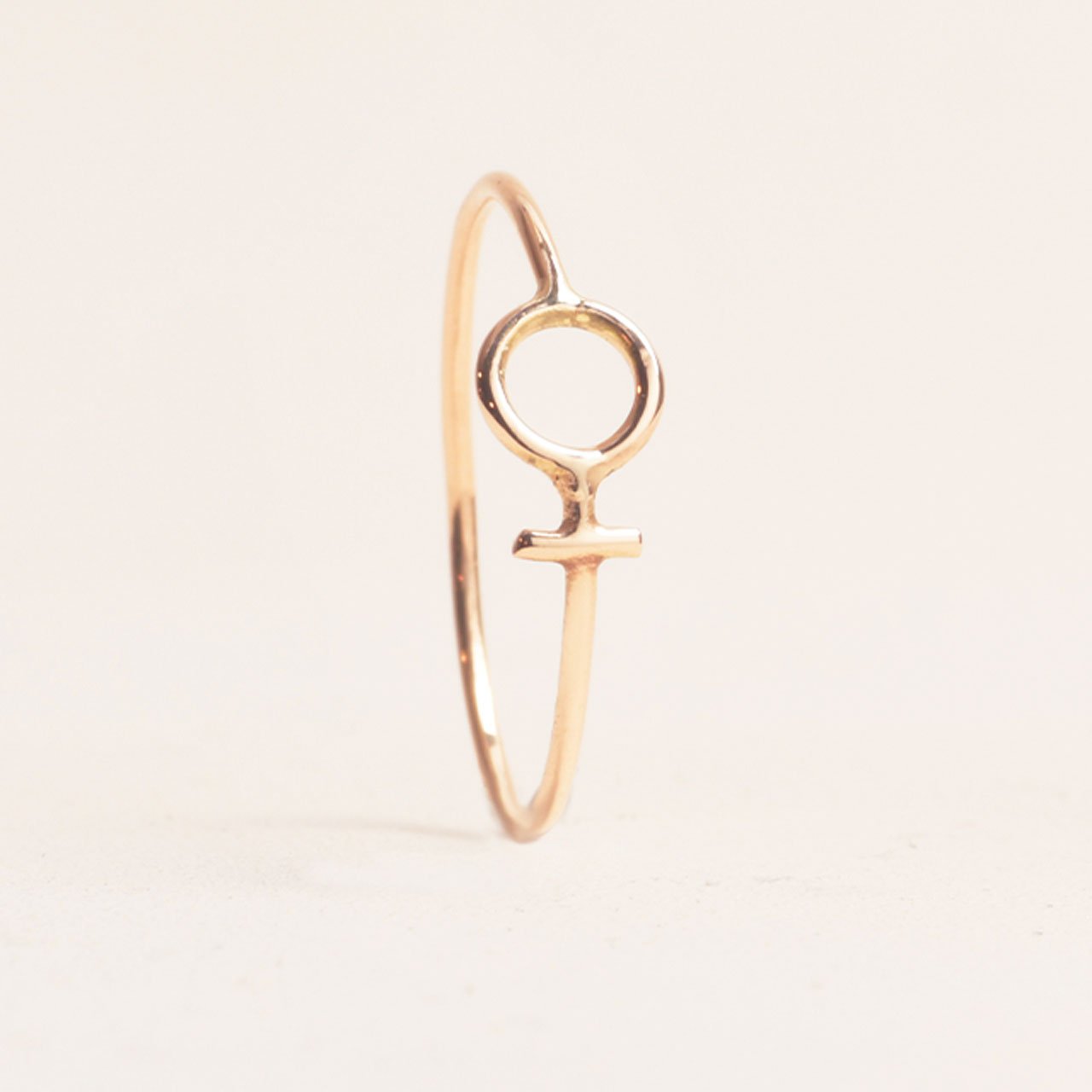 Anna Maria 18k Blank ring - Feministsmeden