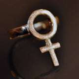 DIAMANTBORSTAD FEMINISTRING