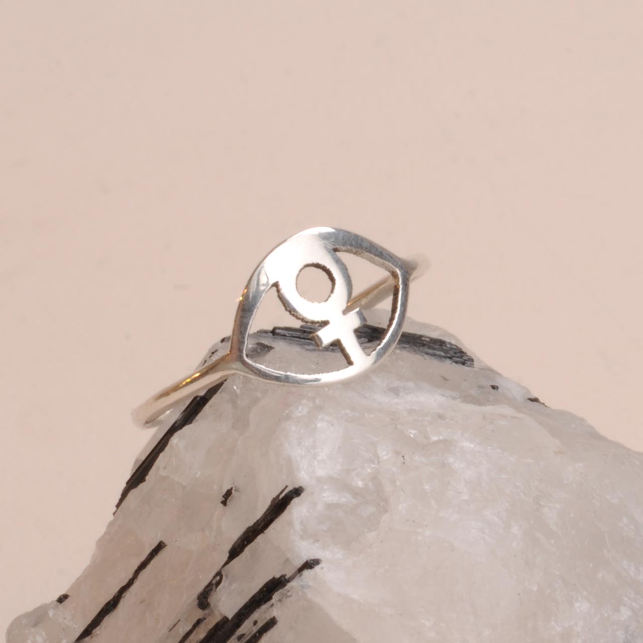 Feministöga Ring - Feministsmeden