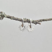 SOL CREOLER - Feministsmeden